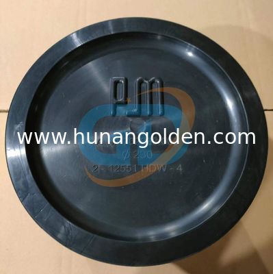 262893000 19003001 PUTZMEISTER PISTON RAM DN230 CONCRETE PUMP